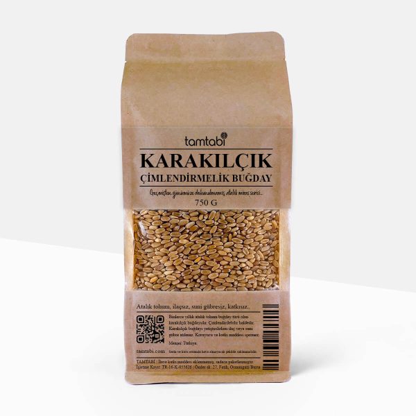 tamtabi cimlendirmelik karakilcik bugday atalik