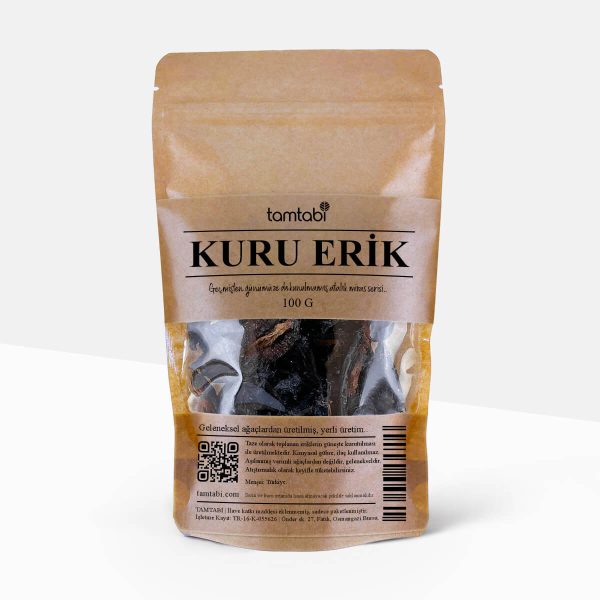 tamtabi kuru erik atalik