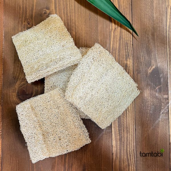 ham kabak lifi tamtabi