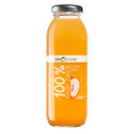 organik-elma-suyu-k-benorganic