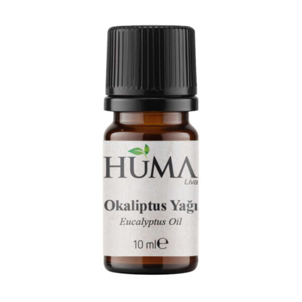 huma okaliptus yagi naturalive