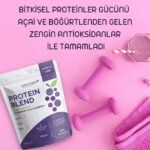 berry protein karisimi 3 naturiga