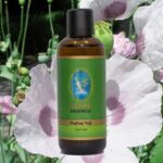 geleneksel hashas yagi nuka