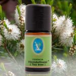 Hint Defnesi (Çay Ağacı) Yağı - 30ml Sprey