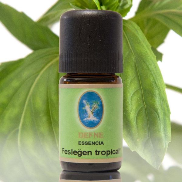 organik feslegen tropikal yagi nuka