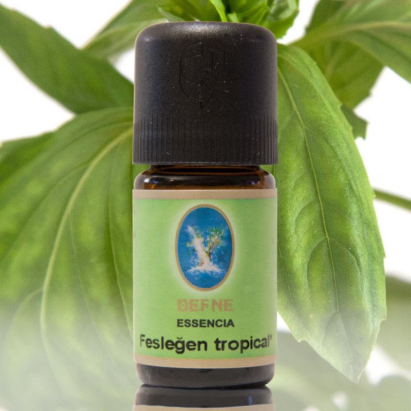 organik feslegen tropikal yagi nuka foto organik feslegen tropikal yagi nuka