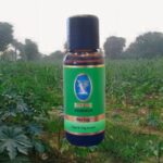 organik hint yagi nuka