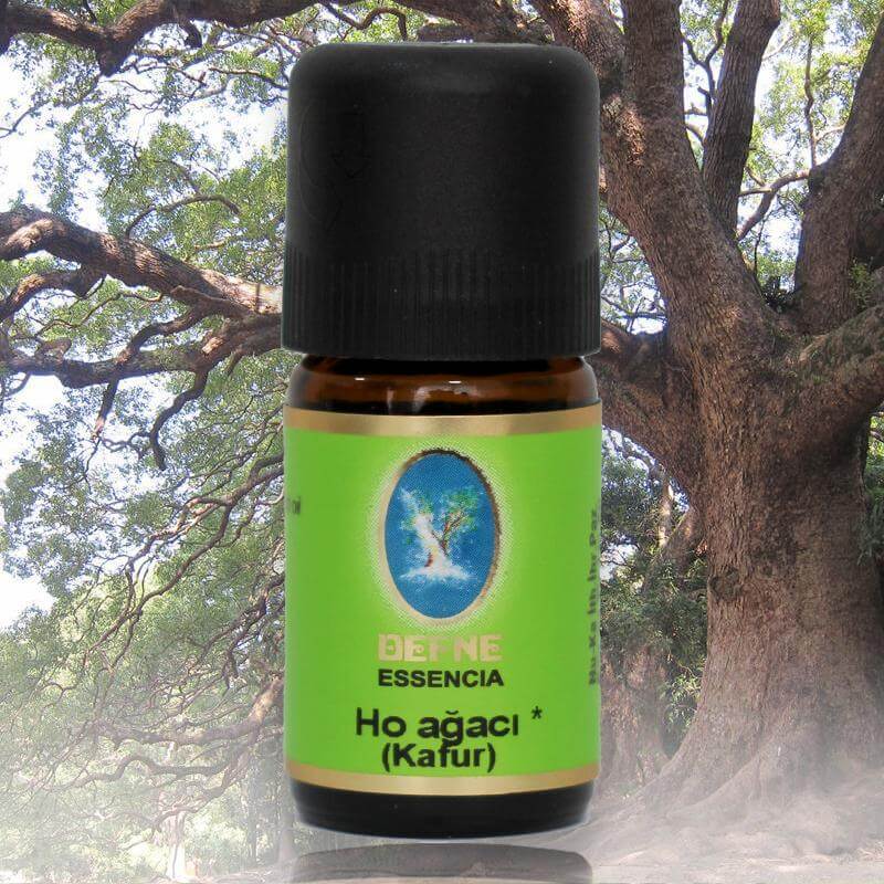 organik ho agaci kafur yagi nuka foto organik ho agaci kafur yagi nuka