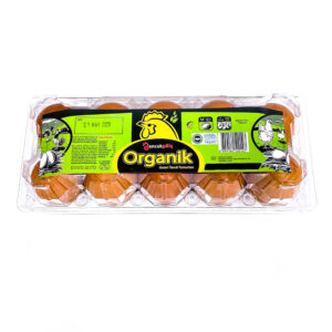 organik gezen tavuk yumurtasi boncuk pilic