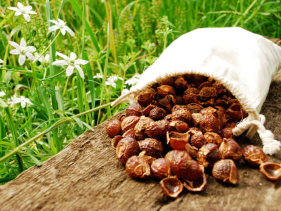sabun-cevizi-kullanimi foto sabun-cevizi-kullanimi