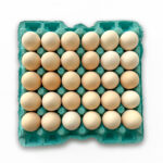 tamtabi yumurta 30lu