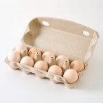 organik yumurta 10 adet tamtabi