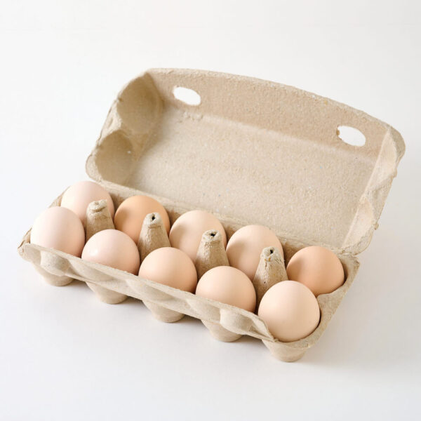 organik yumurta 10 adet tamtabi