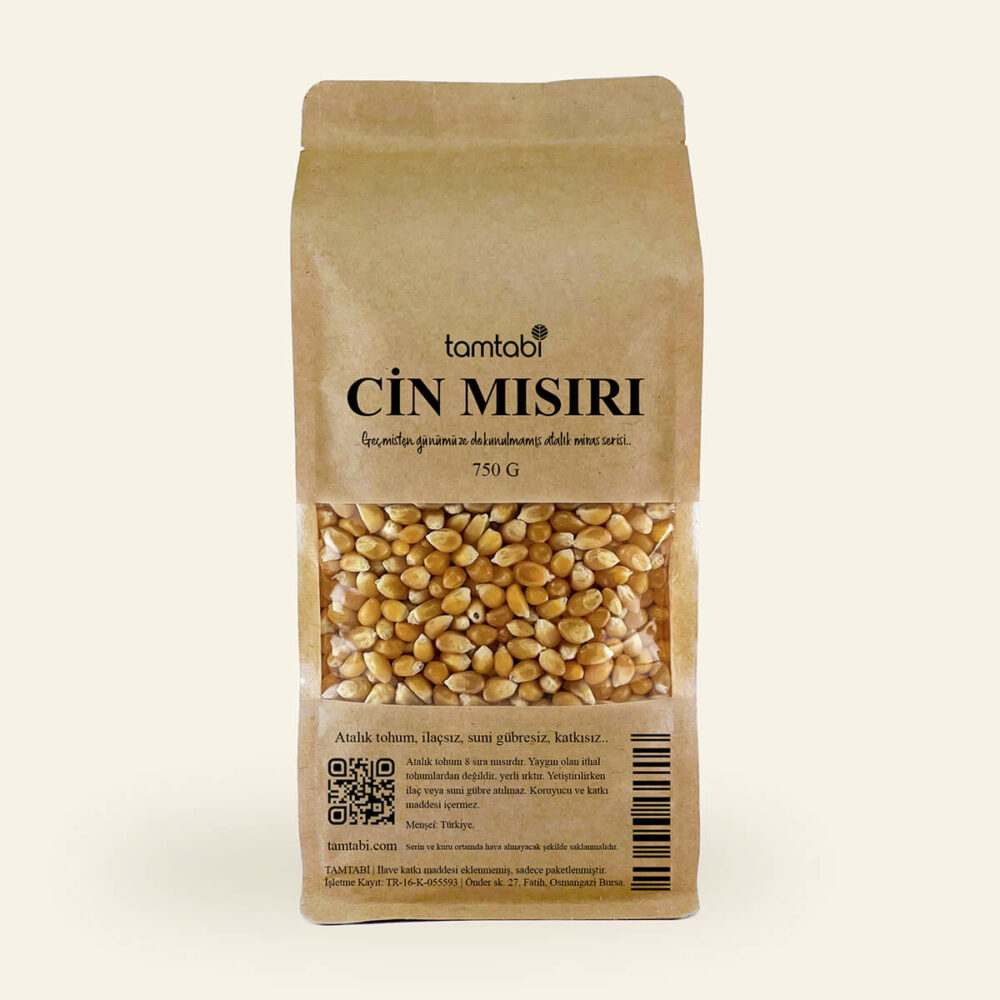 tamtabi cin misiri atalik tohum